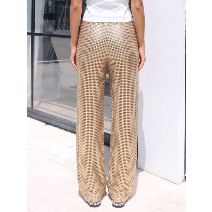 Sparkly Metallic Drawstring Tie Low Waist Wide Leg Resort Pants